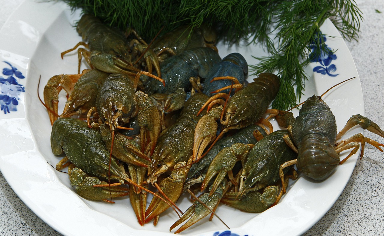 Read more about the article Spisesteder Køge: Lokale Råvarer og Gastronomisk Mangfoldighed